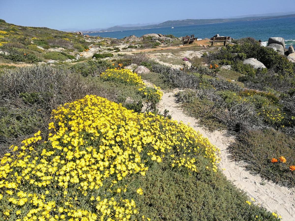 Langebaan Paradise Beach 9 Elara Eksteriør billede
